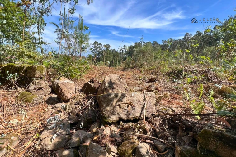 Terreno Agricola ou Rústico para Venda em Sanfins Lamoso Codessos Foto 12