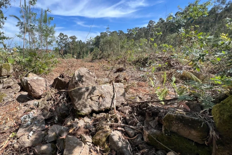 Terreno Agricola ou Rústico para Venda em Sanfins Lamoso Codessos Foto 13