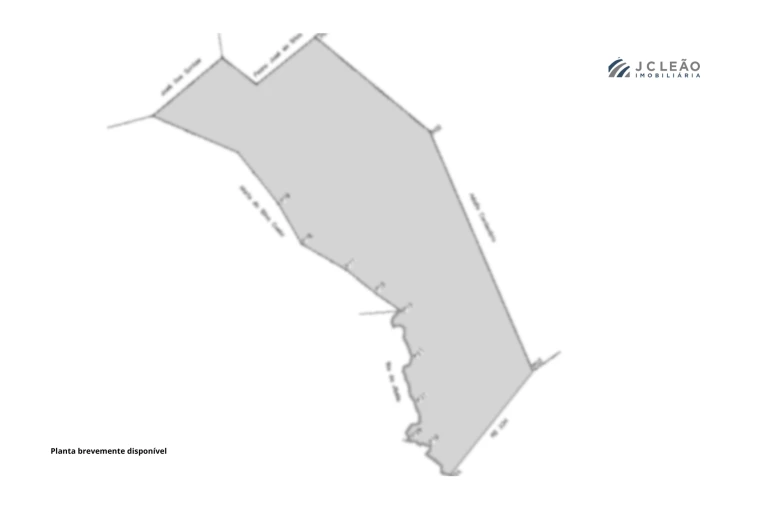 Terreno Agricola ou Rústico para Venda em Sanfins Lamoso Codessos Foto 18