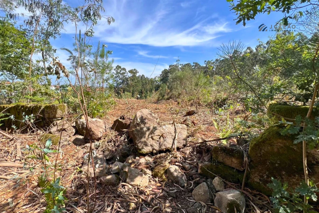 Terreno Agricola ou Rústico para Venda em Sanfins Lamoso Codessos Foto 16