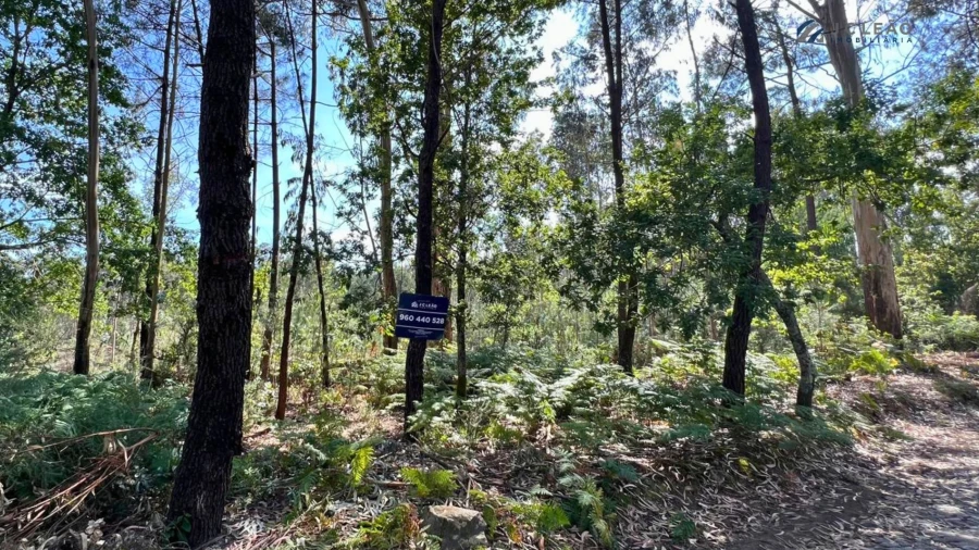 Terreno Agricola ou Rústico para Venda em Sanfins Lamoso Codessos