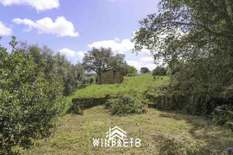 Terreno para Venda em Nelas Foto 4