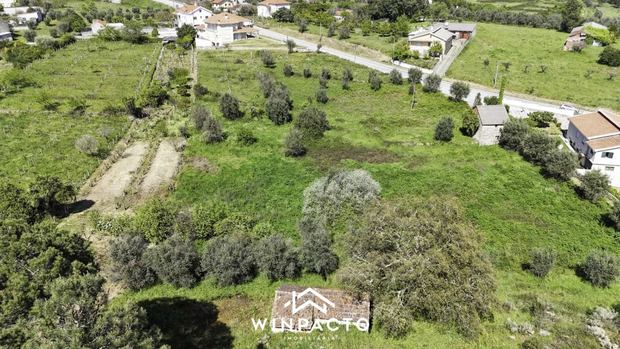 Terreno para Venda em Nelas