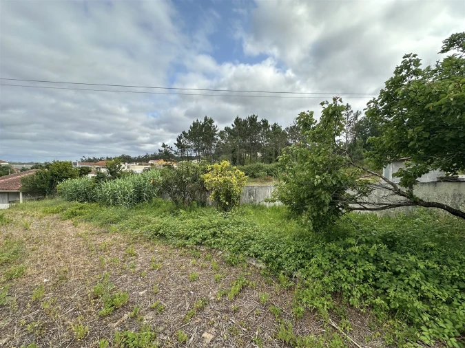 Moradia T5 para Venda em Paião Foto 50