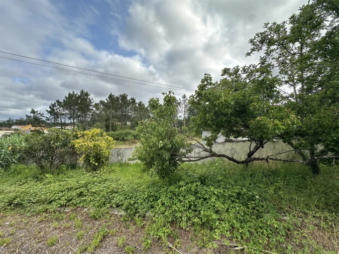 Moradia T5 para Venda em Paião Foto 49