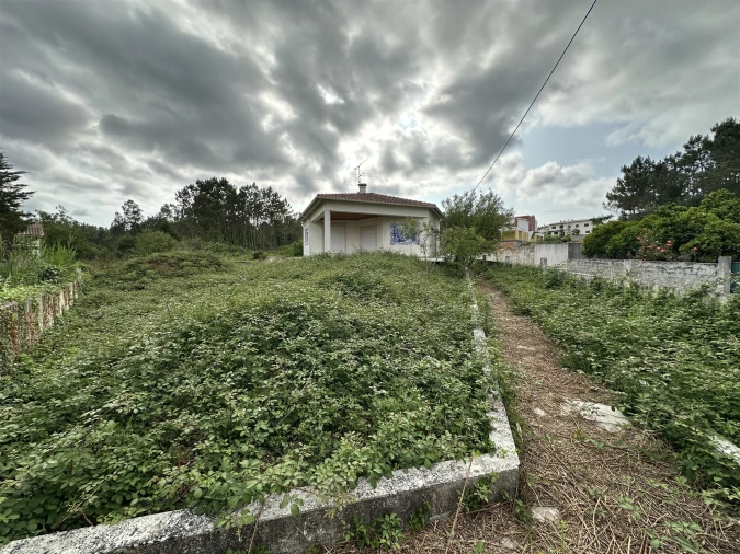 Moradia T5 para Venda em Paião Foto 2