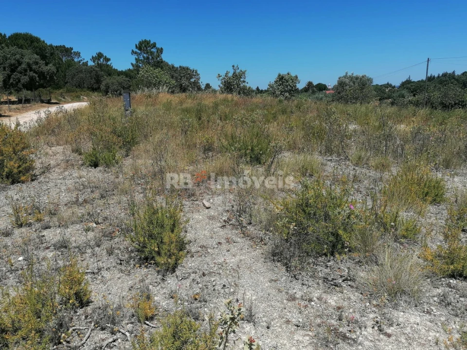 Terreno Agricola ou Rústico para Venda em Madalena e Beselga Foto 4