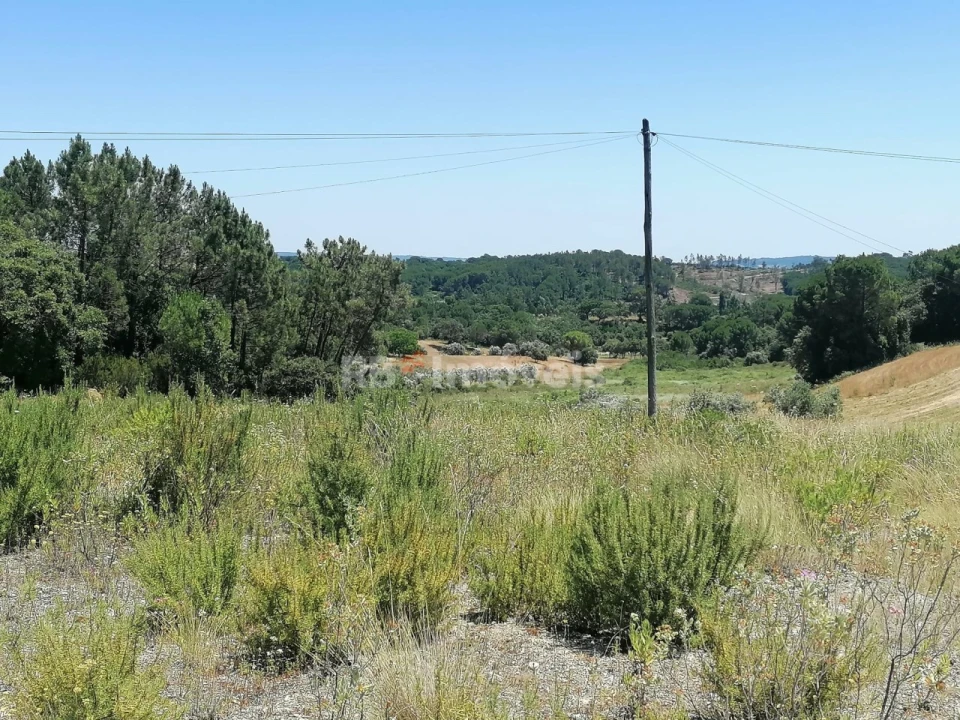 Terreno Agricola ou Rústico para Venda em Madalena e Beselga Foto 6
