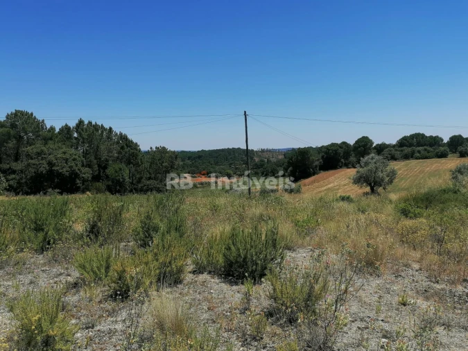 Terreno Agricola ou Rústico para Venda em Madalena e Beselga Foto 3
