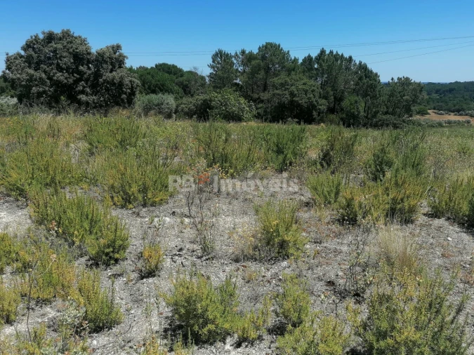 Terreno Agricola ou Rústico para Venda em Madalena e Beselga Foto 1