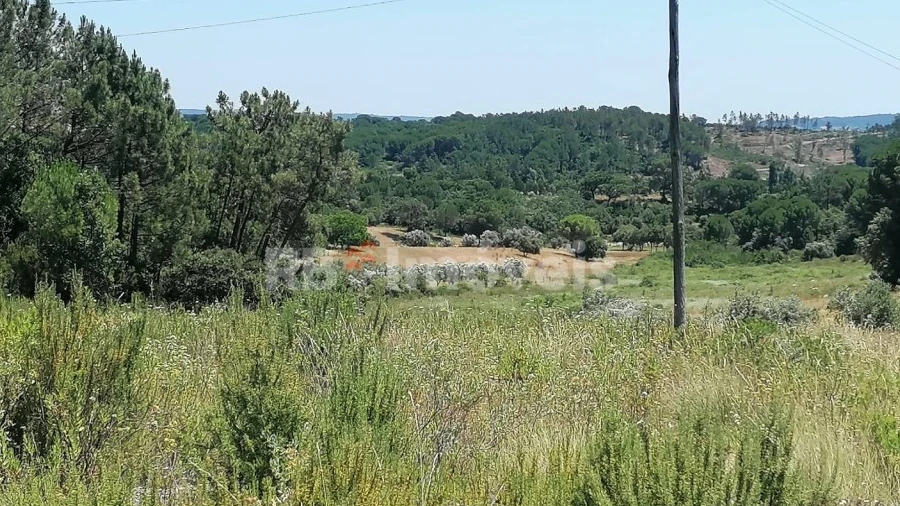 Terreno Agricola ou Rústico para Venda em Madalena e Beselga