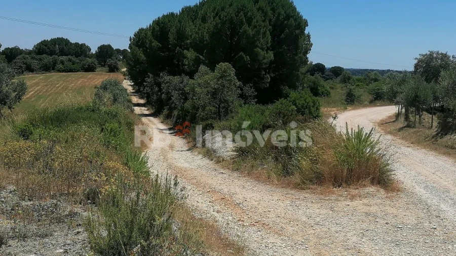Terreno Agricola ou Rústico para Venda em Madalena e Beselga