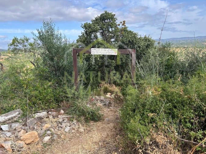 Terreno Misto para Venda em Moncarapacho e Fuseta Foto 2