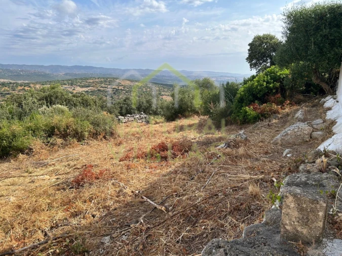 Terreno Misto para Venda em Moncarapacho e Fuseta Foto 4