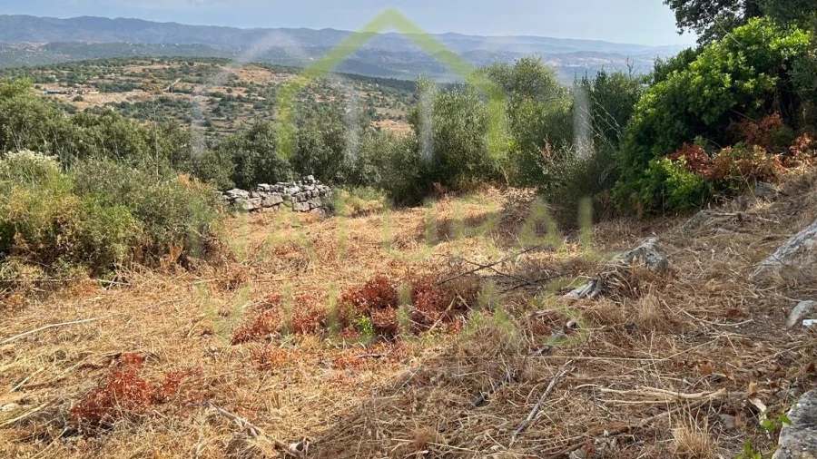 Terreno Misto para Venda em Moncarapacho e Fuseta