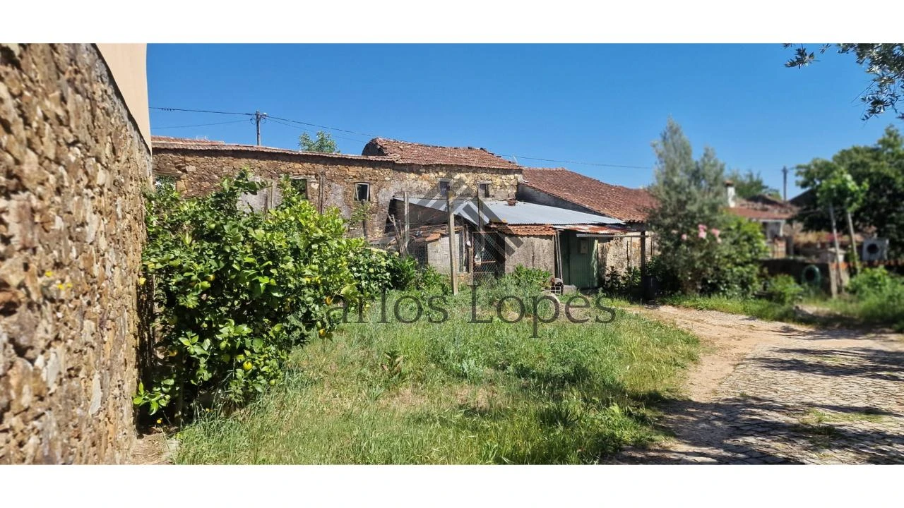 Terreno para Venda em Figueiró dos Vinhos e Bairradas Foto 1