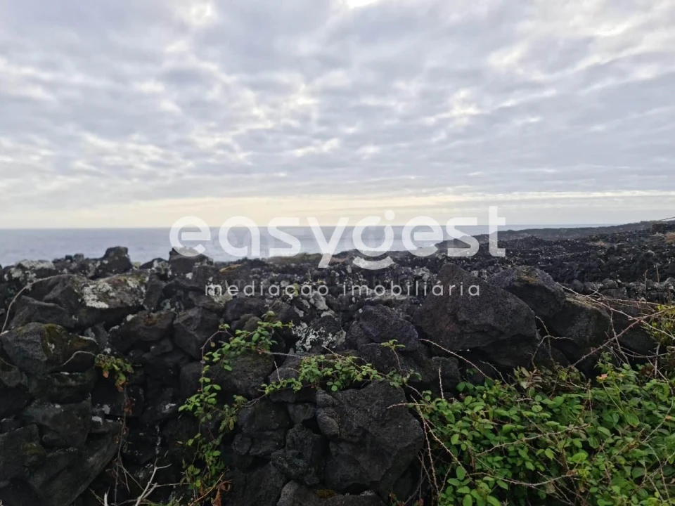 Terreno Agricola ou Rústico para Venda em Candelaria Foto 3