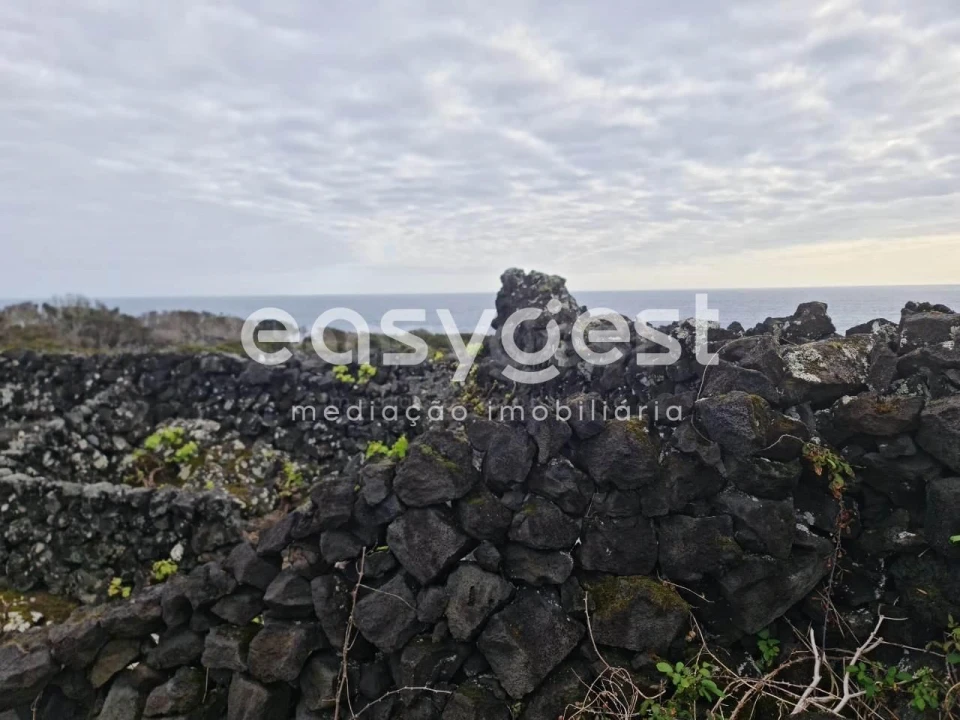 Terreno Agricola ou Rústico para Venda em Candelaria Foto 5