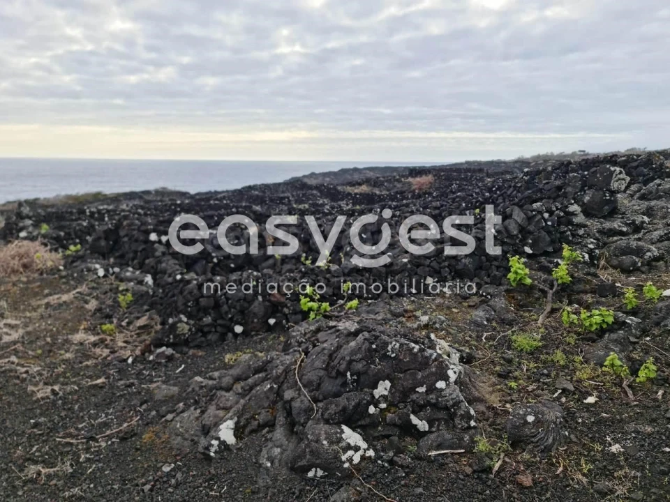 Terreno Agricola ou Rústico para Venda em Candelaria Foto 8
