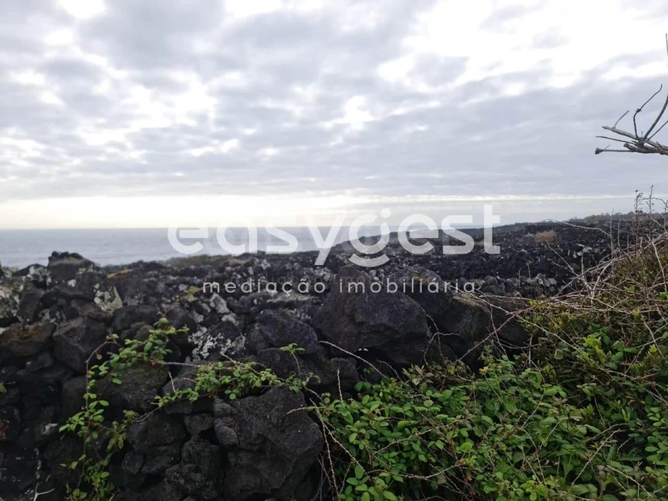 Terreno Agricola ou Rústico para Venda em Candelaria Foto 10
