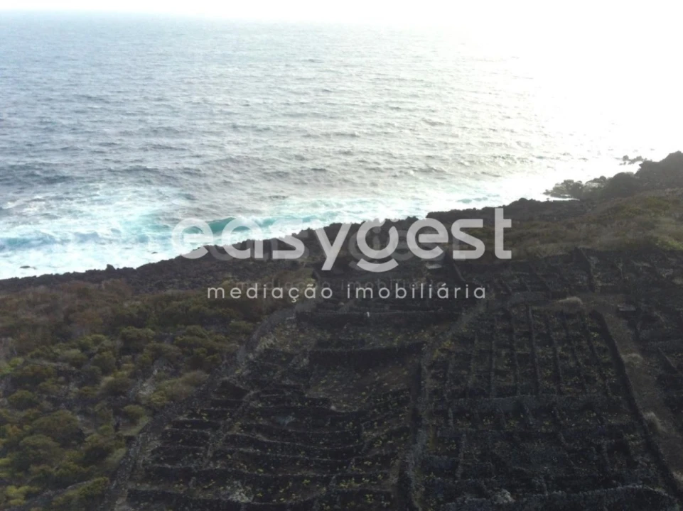 Terreno Agricola ou Rústico para Venda em Candelaria Foto 11