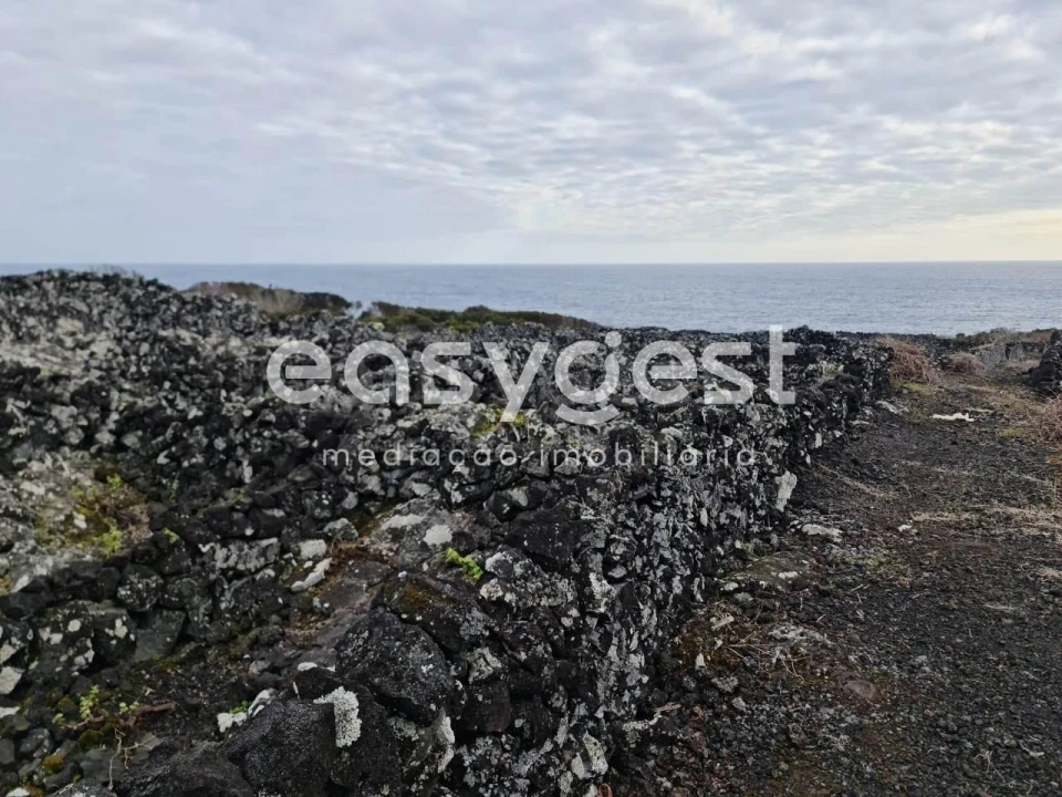 Terreno Agricola ou Rústico para Venda em Candelaria Foto 12