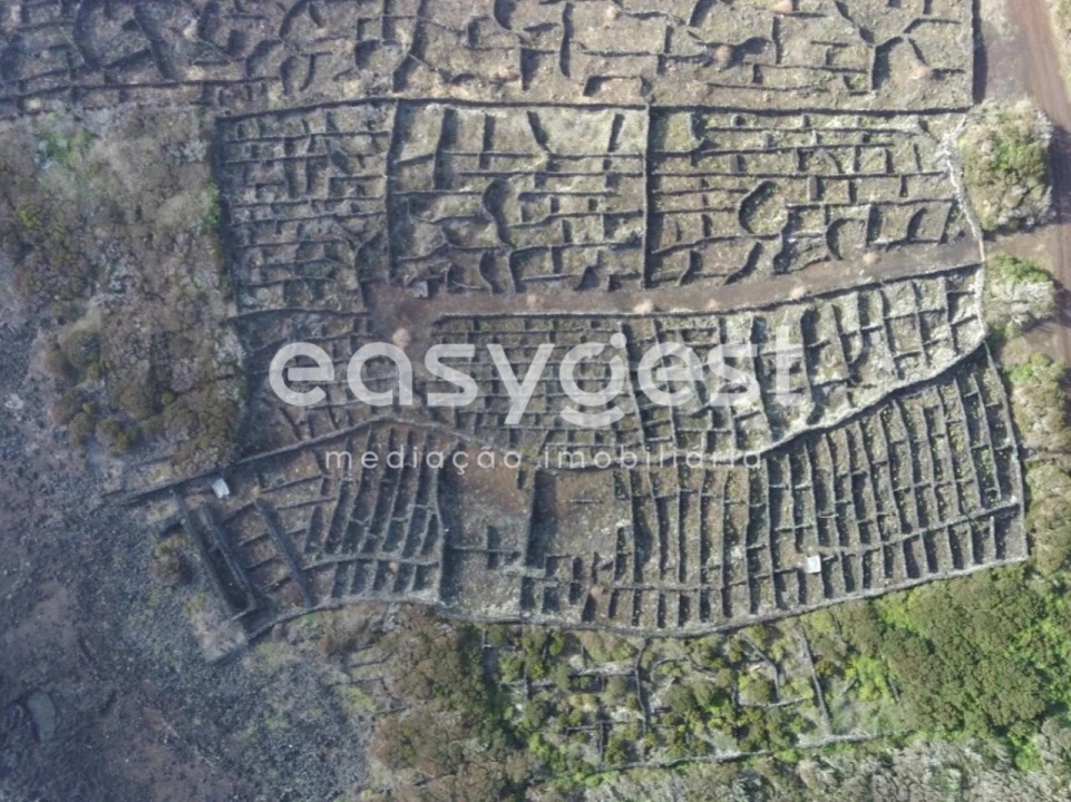 Terreno Agricola ou Rústico para Venda em Candelaria Foto 13