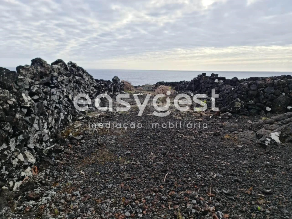 Terreno Agricola ou Rústico para Venda em Candelaria Foto 14