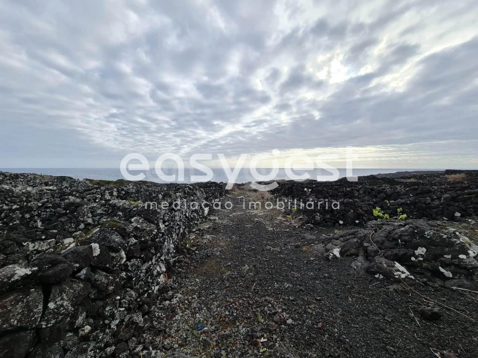 Terreno Agricola ou Rústico para Venda em Candelaria Foto 15
