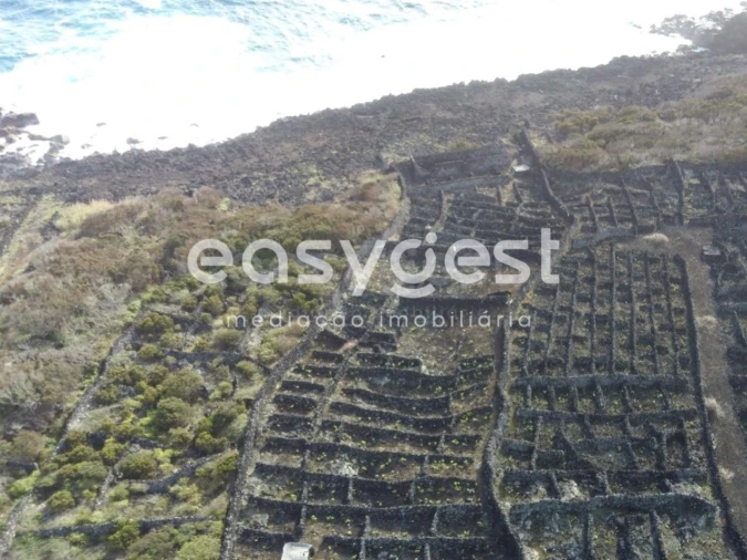 Terreno Agricola ou Rústico para Venda em Candelaria Foto 2