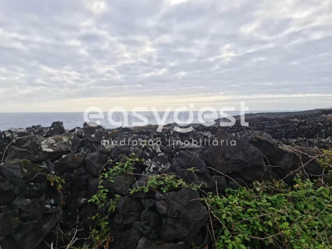 Terreno Agricola ou Rústico para Venda em Candelaria Foto 3