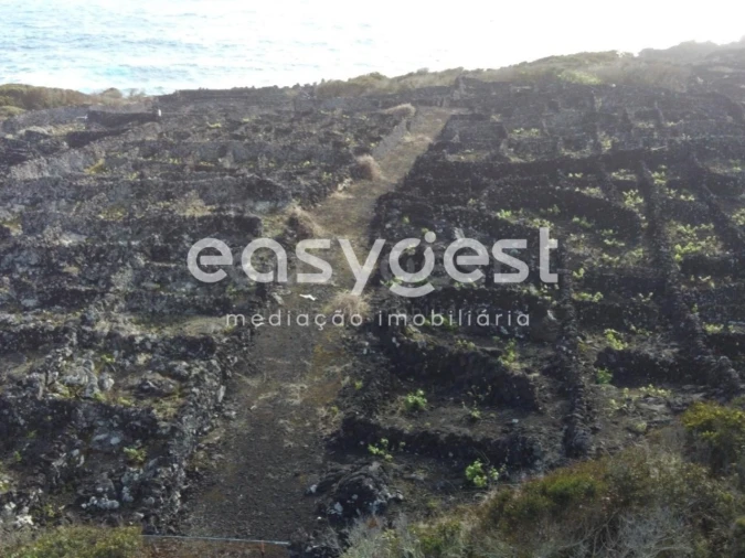 Terreno Agricola ou Rústico para Venda em Candelaria Foto 4