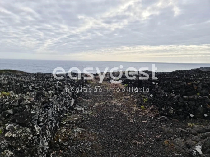 Terreno Agricola ou Rústico para Venda em Candelaria Foto 9