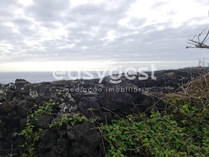 Terreno Agricola ou Rústico para Venda em Candelaria Foto 10