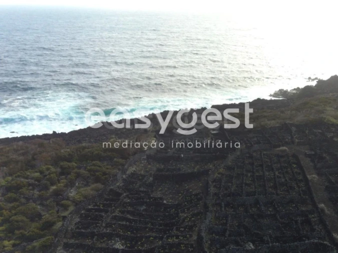 Terreno Agricola ou Rústico para Venda em Candelaria Foto 11