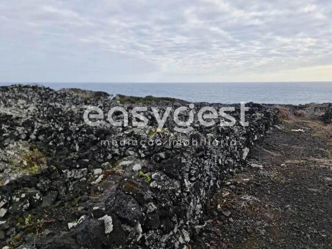 Terreno Agricola ou Rústico para Venda em Candelaria Foto 12
