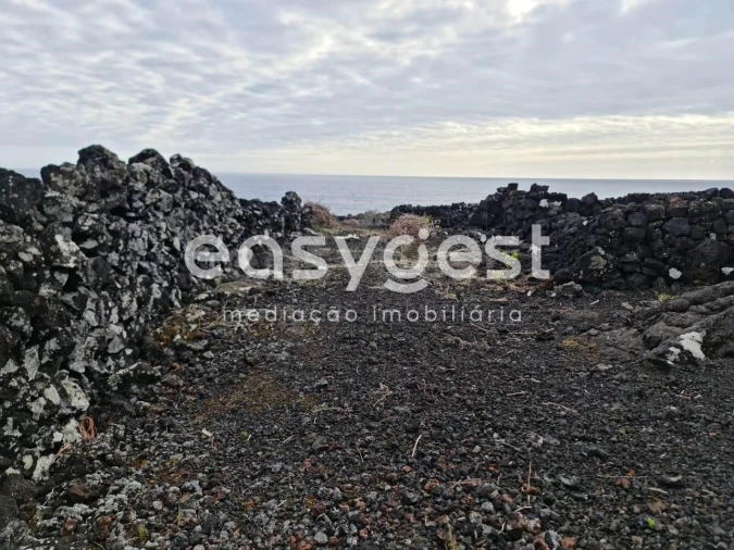 Terreno Agricola ou Rústico para Venda em Candelaria Foto 14