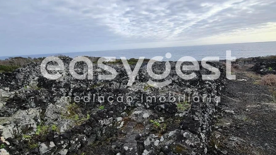 Terreno Agricola ou Rústico para Venda em Candelaria