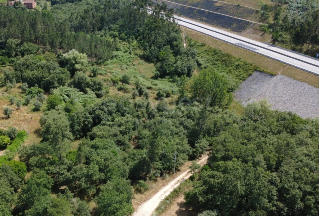 Terreno para Venda em São Miguel, Santa Eufémia e Rabaçal Foto 5