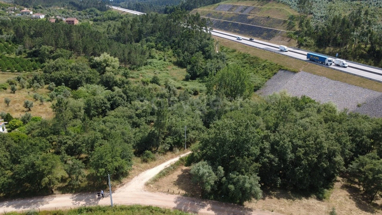 Terreno para Venda em São Miguel, Santa Eufémia e Rabaçal Foto 9