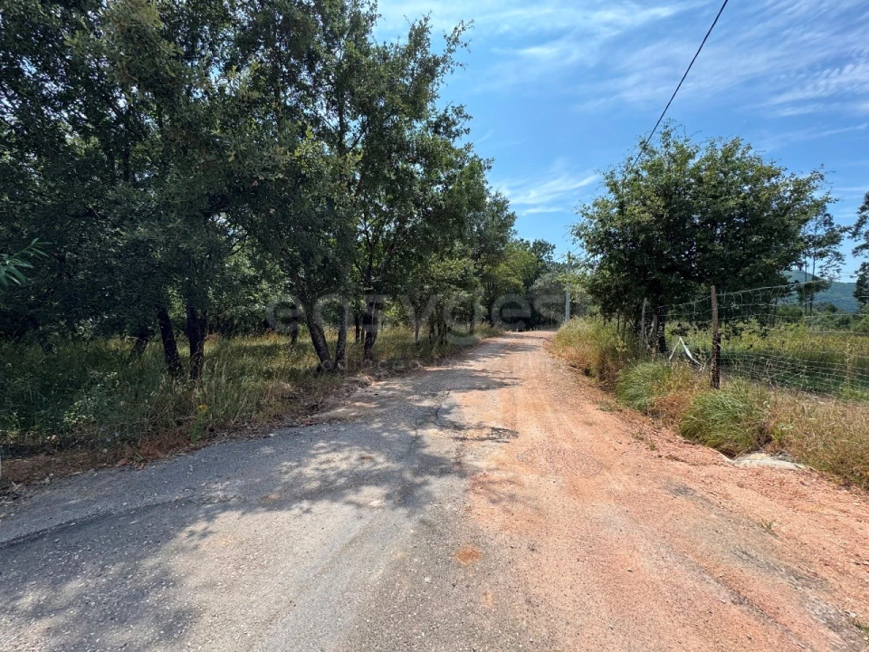Terreno para Venda em São Miguel, Santa Eufémia e Rabaçal Foto 12