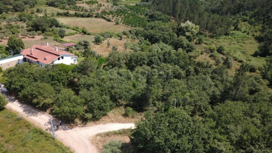 Terreno para Venda em São Miguel, Santa Eufémia e Rabaçal Foto 4