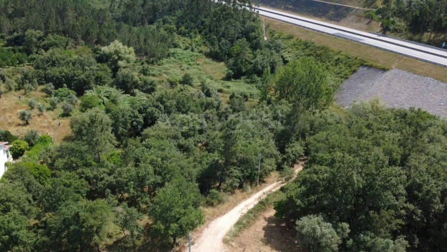 Terreno para Venda em São Miguel, Santa Eufémia e Rabaçal Foto 6