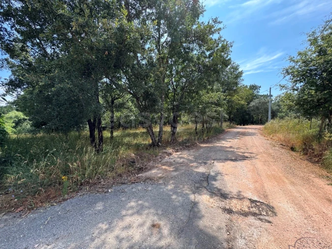 Terreno para Venda em São Miguel, Santa Eufémia e Rabaçal Foto 11