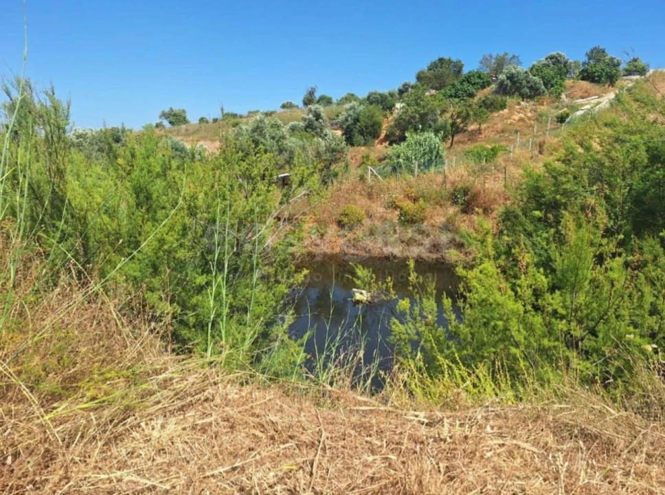 Terreno Misto para Venda em Estômbar e Parchal Foto 1