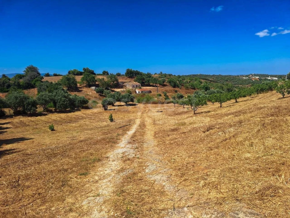 Terreno Misto para Venda em Estômbar e Parchal Foto 2