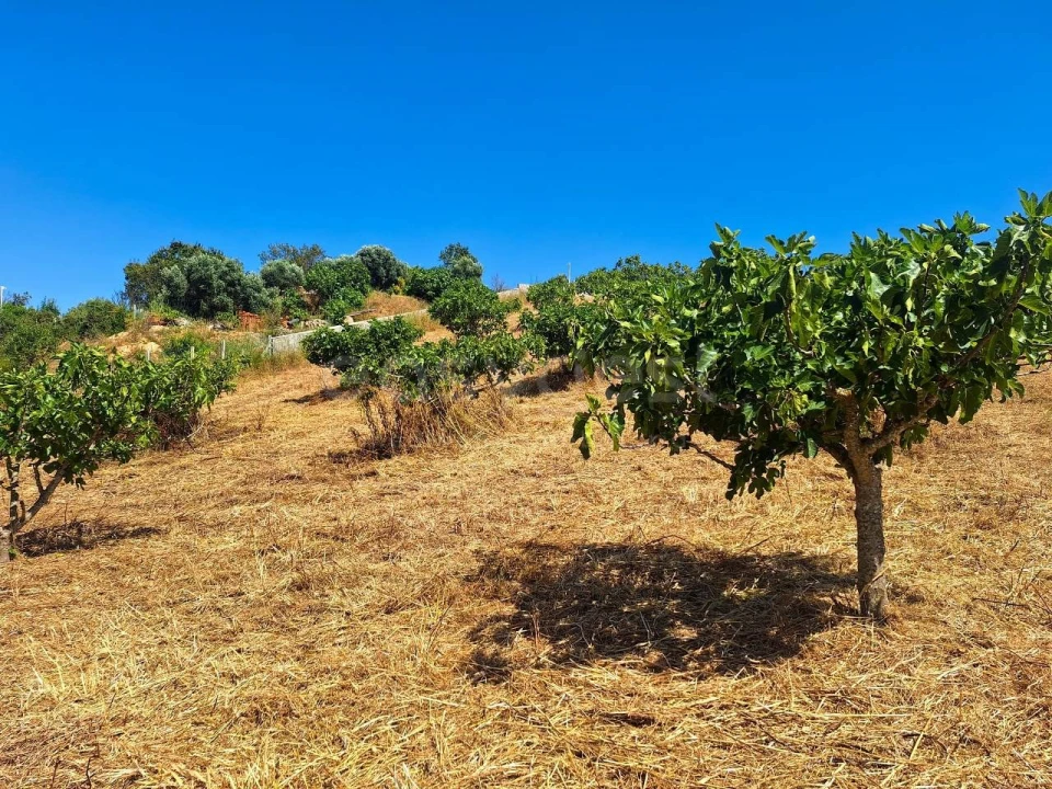 Terreno Misto para Venda em Estômbar e Parchal Foto 6