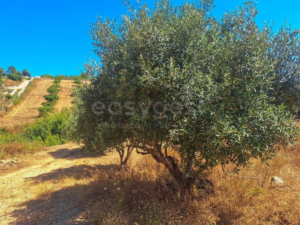 Terreno Misto para Venda em Estômbar e Parchal Foto 8