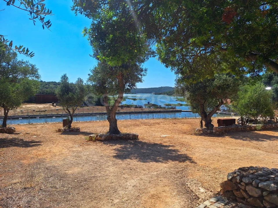 Terreno Misto para Venda em Estômbar e Parchal Foto 14