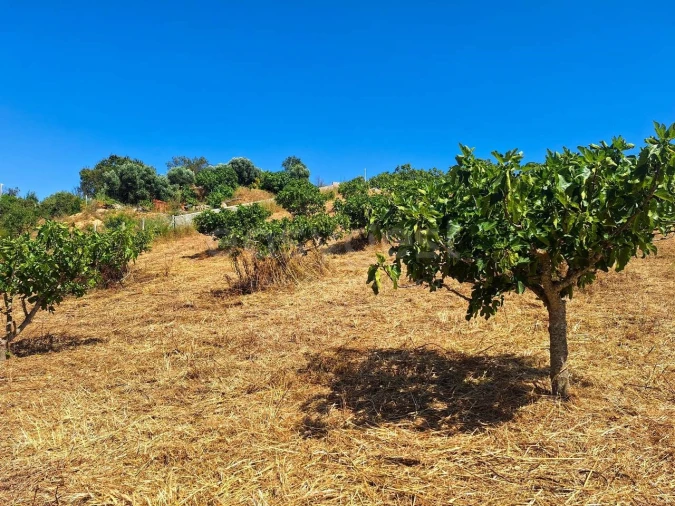 Terreno Misto para Venda em Estômbar e Parchal Foto 6